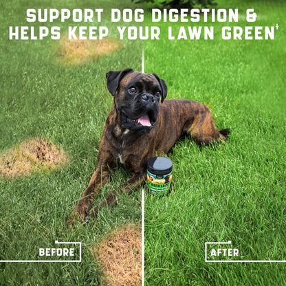 Dogs Green Lawn Chews - healthy gut and Urine